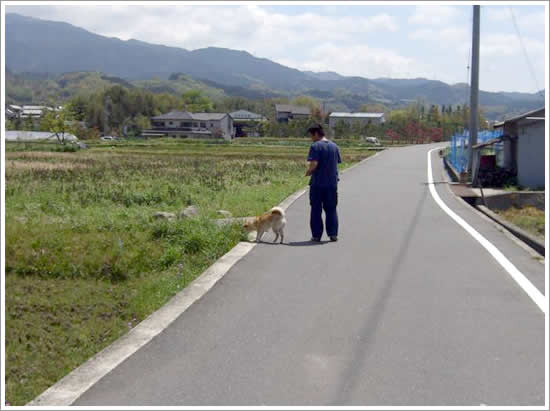 犬舎の周りの環境
